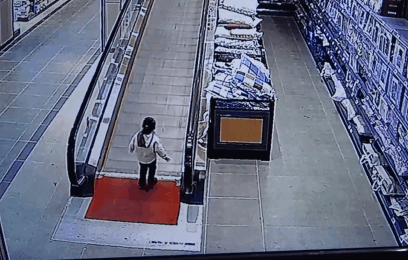33.gif 33.gif
