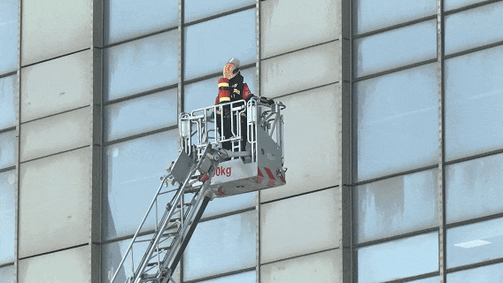 6.gif