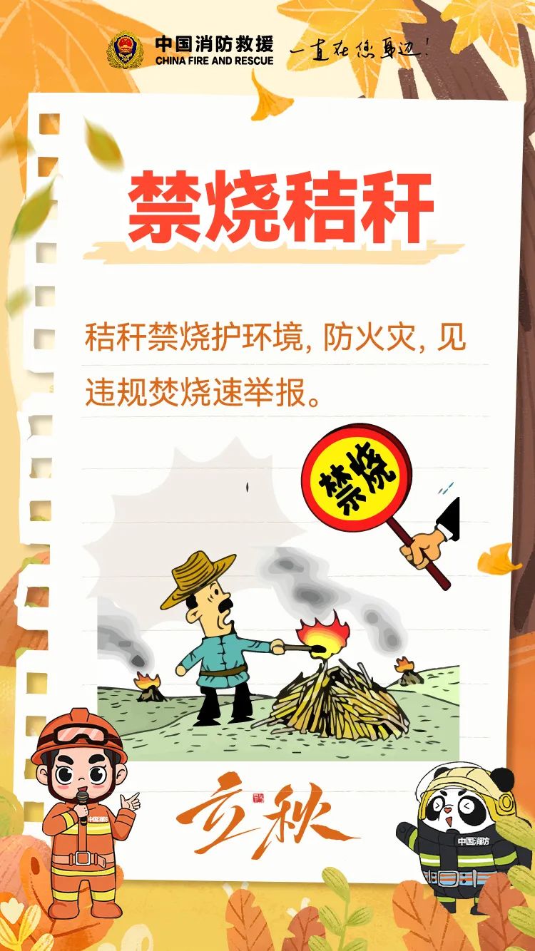dfe5d663e43c0923c2dd07a1baf1692d_dab64245-49c0-48fb-8636-e8fac6f1a93c.jpg